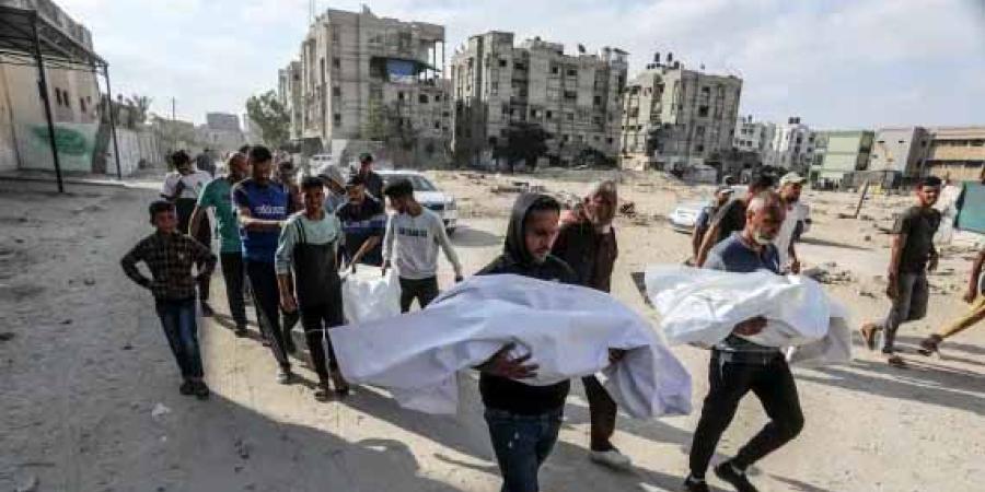 أكثر من 20 شهيدًا بنيران وقصف الاحتلال في مناطق عدة في قطاع غزة 